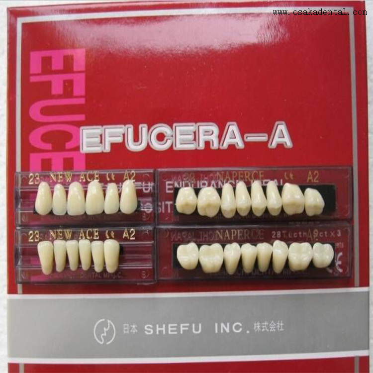 Dental Resin Teeth with 6 Full Set in One Box Buy Dental Resin Teeth