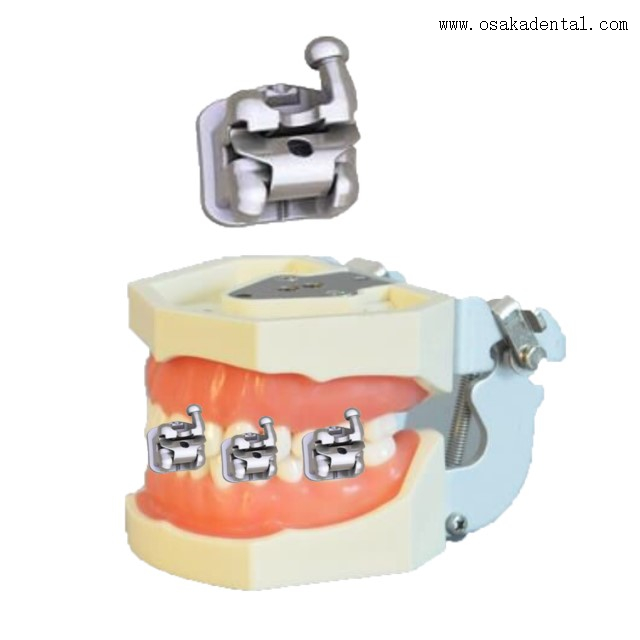Dental Orthodontic Bracket Selflock Bracket Dental SelfLigating