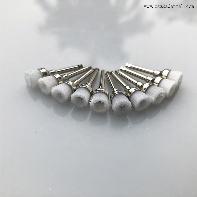 Dental Latch Style Flat White Bristle Prophy Brush Buy Prophy Brush