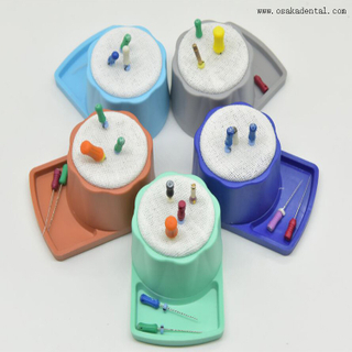 Dental Endo Clean Which Stands Clean and Stage Files